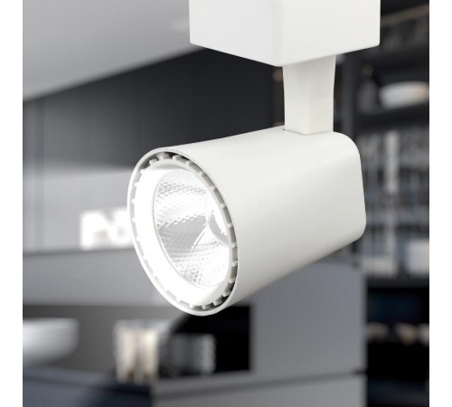 Светильник светодиодный трековый TR4 - 10 WH 10Вт белый COB  Б0032112  ЭРА