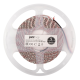 Лента светодиодная LED PLS 2835/120 12Вт 12В 6500К IP20 5м  2859051  Jazzway