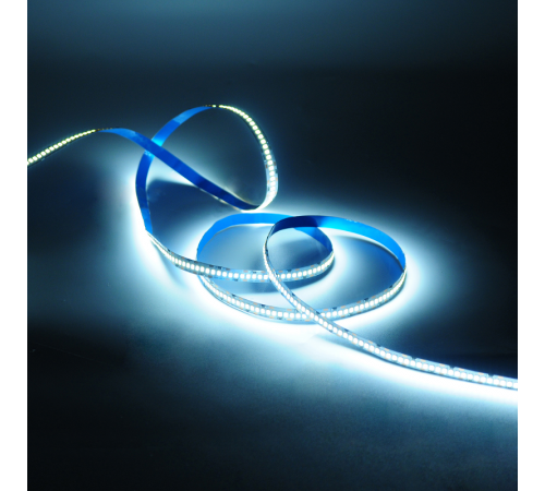 Лента светодиодная Basic LED 2835/240 12V 14,4W/m 1600lm/m 4000K 10mm IP20 5m 1/100  BT086  Gauss