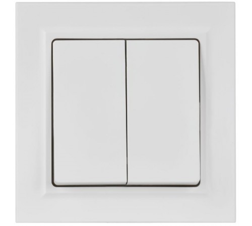 BRITE Выключатель 2-клавишный 10А в сборе ВСР10-2-0-БрАБ арктический белый   BR-V20-0-10-K91-F  IEK