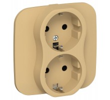 FLITE Розетка 2-ая с заземлением без шторок 16А РС12-0-А-ФлШм шамуа  FI-R21A-16-K89  IEK
