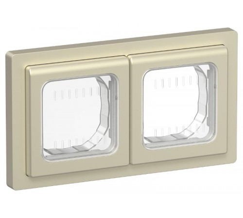 FLITE Рамка 2-местная IP55 Рпро-2-55-ФлШ шампань  FI-M20-32-55-K37  IEK