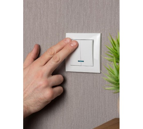 Валенсия выключатель 2-кл. 10А белый с индикатором EKF PROxima   EWV10-123-10   EKF