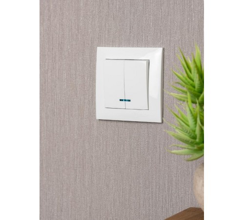 Валенсия выключатель 2-кл. 10А белый с индикатором EKF PROxima   EWV10-123-10   EKF