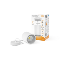 Светильник светодиодный накладной/подвесной HD039 12W (белый/белый) 3000K 79*100мм 1/20  HD039  Gauss