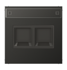 Плата (фиксация защёлкиванием) с полем для надписи для двух модулей; металл; антрацит AL1969-2NAWEAN Jung