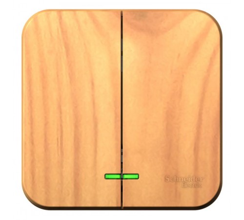 Blanca Ясень О/У с изолирующей пластиной Ясень Выключатель 2-клавишный с подсветкой 10А,250B  BLNVA105115  SE