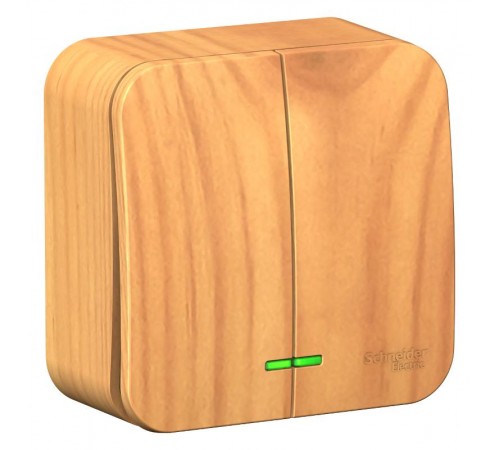 Blanca Ясень О/У с изолирующей пластиной Ясень Выключатель 2-клавишный с подсветкой 10А,250B  BLNVA105115  SE