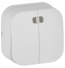 GLORY Выключатель 2-клавишный с индикацией о/у 10А ВС20-2-1-ХБм белый матовый  EVH21-K01M-10  IEK