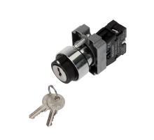 Переключатель BD21 2P с замком NO  36-5552  REXANT