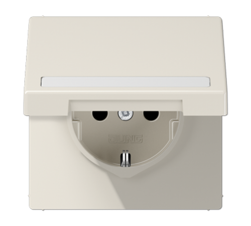 SCHUKO розетка с полем для надписи и крышкой  LS1520BFNAKL  Jung