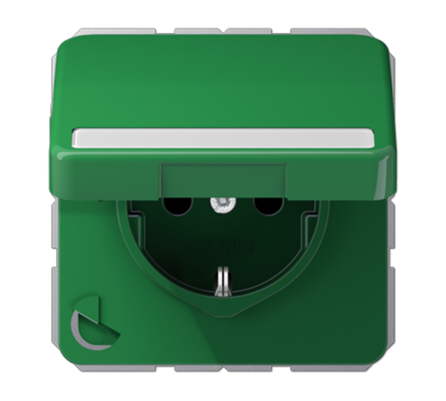 Штепсельная розетка SCHUKO 16A 250V~ с полем для надписи и защитой от влажности; зеленая  CD1520BFNAKLGN  Jung