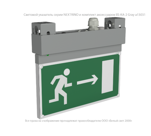Световой указатель аварийного освещения BS-NEXTRINO-10-S1-24 Gray  a15527  Белый свет