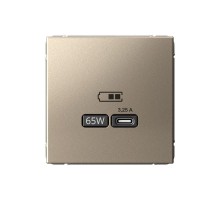 ArtGallery Шампань Розетка USB тип-С 65Вт высокоскор.заряд. QC, PD, механизм  GAL000527  SE