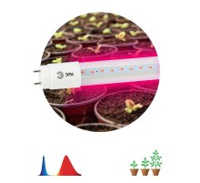 Лампа светодиодная Т8 фито для растений 18Вт G13 красно-синий спектр ЭРА FITO-18W-RB-Т8-G13-NL  Б0042990  ЭРА