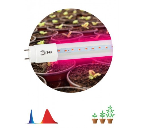 Лампа светодиодная Т8 фито для растений 18Вт G13 красно-синий спектр ЭРА FITO-18W-RB-Т8-G13-NL  Б0042990  ЭРА