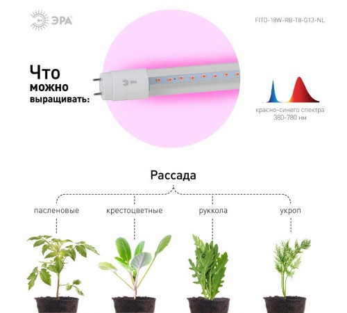 Лампа светодиодная Т8 фито для растений 18Вт G13 красно-синий спектр ЭРА FITO-18W-RB-Т8-G13-NL  Б0042990  ЭРА