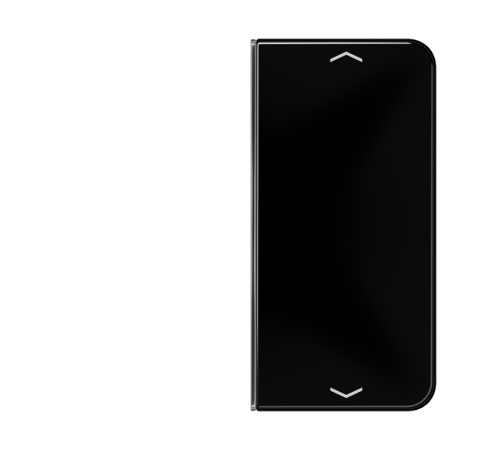 клавиша с символом для 2-клавишного пульта KNX, чёрная, для серии CD  CD402TSAPSW  Jung