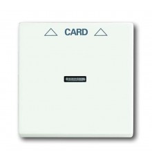Плата центральная (накладка) для механизма карточного выключателя 2025 U, серия solo/future, цвет белый бархат  1710-0-3928   2CKA001710A3928  ABB
