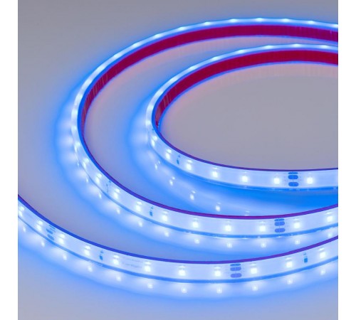 Лента светодиодная герметичная RTW-PFS-A60-11mm 24V Blue (4.8 W/m, IP68, 2835, 5m) (arlight, -)  034160  Arlight
