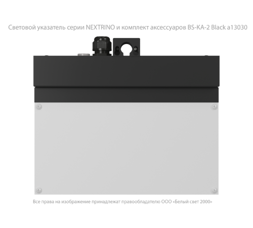 Световой указатель аварийного освещения BS-NEXTRINO-10-S1-ELON Black  a17028  Белый свет