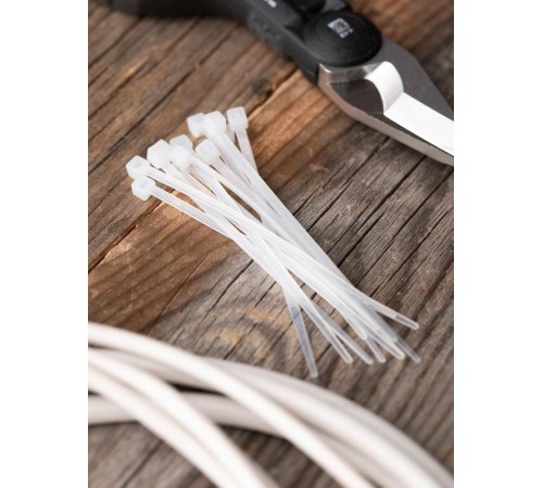 Хомут нейлоновый 2,5х100 (уп./100шт) EKF Simple  plc-c-2.5x100  EKF