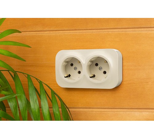 Quteo Слоновая кость Розетка 2-я з/к  782263  Legrand