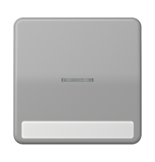 Клавиша с окошком для выключателя с подсветкой и полем для надписи; серая  CD590NAKO5GR  Jung