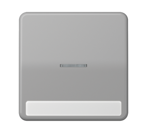 Клавиша с окошком для выключателя с подсветкой и полем для надписи; серая  CD590NAKO5GR  Jung