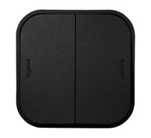 Quteo Чёрный Переключатель 2-клавишный 10A винтовые зажимы  782479  Legrand