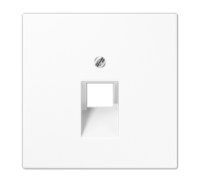 Крышка для одинарных телефонных и компьютерных розеток (UAE), фиксация винтом; термопласт; белый; LS990  LS969-1UAWW  Jung