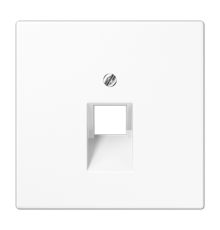 Крышка для одинарных телефонных и компьютерных розеток (UAE), фиксация винтом; термопласт; белый; LS990  LS969-1UAWW  Jung