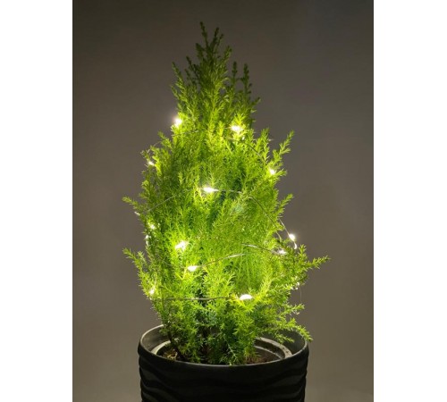 Гирлянда светодиодная  Нить 2 м теплый свет, на эл.пит.АА,  ENIN-2B,  IP20 (100/4800)  Б0041891  ЭРА