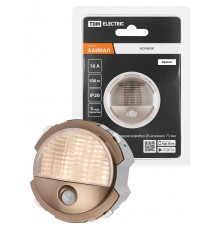 Ночник бронза, "Байкал"   SQ1819-0448  TDM