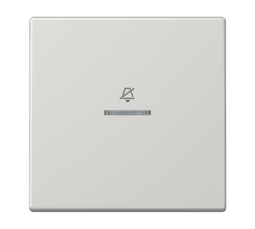 Двойная клавиша на гостиничный выключатель, комнатный модуль LSRUKO5DLG Jung