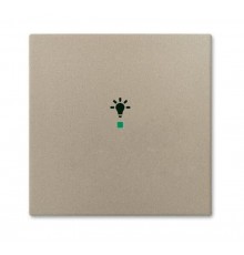 SRL-1-93 Клавиша одинарная free@home, освещение, Basic 55, цвет шампань  6220-0-0653   2CKA006220A0653  ABB