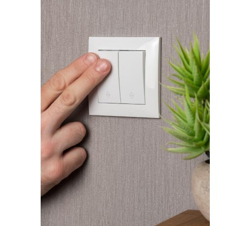 Валенсия выключатель 2-кл. 10А белый проходной EKF PROxima   EWV10-027-10   EKF