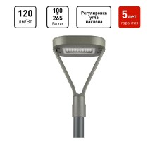 Светильник светодиодный садово-парковый  SPP-505-0-50K-050 50Вт 6000лм 5000K IP65 КСС Д серый   Б0062718  ЭРА