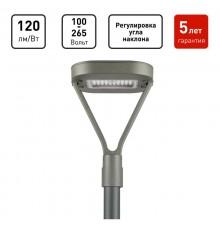 Светильник светодиодный садово-парковый  SPP-505-0-50K-050 50Вт 6000лм 5000K IP65 КСС Д серый   Б0062718  ЭРА