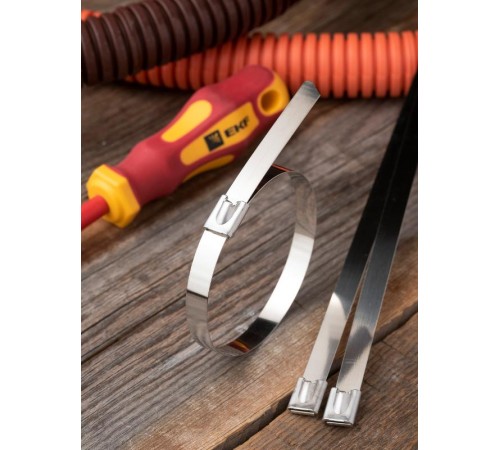 Хомут AISI 304 из нержавеющей стали, 7.9x260 (100 шт.) FlexLock PROximaplc-fl-tss-304-7.9x260EKF