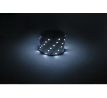Лента светодиодная  LS5050 -7,2-30-12-6500K-IP20-1 year-5m холодный белый 5м  Б0059917  ЭРА