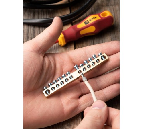 Шина "0" PE 63.12 (латунь) EKF PROxima  sn0-63-12  EKF