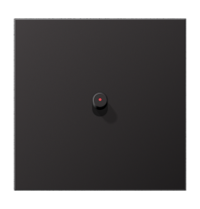Центральная плата, 1 пост, 1 тумблер, цилиндр c окошком; металл; Dark; серия LS  AL12-0KODR01  Jung