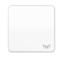 Клавиша с символом "освещение"; белая CD590LWW Jung