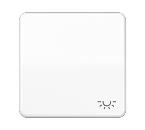 Клавиша с символом "освещение"; белая CD590LWW Jung