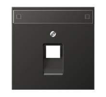 Крышка для ординарной телефонной и компютерной розетки UAE с полем для надписи; антрацит  AL2969-1NAUAAN  Jung