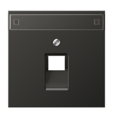 Крышка для ординарной телефонной и компютерной розетки UAE с полем для надписи; антрацит  AL2969-1NAUAAN  Jung