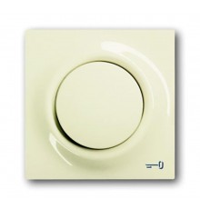 Клавиша для механизма 1-клавишного выкл./перекл./кнопки, с символом "КЛЮЧ", серия impuls, цвет слоновая кость  1753-0-0074   2CKA001753A0074  ABB