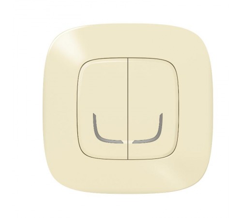 Выключатель Умный беспроводной 2-кл. Valena Allure сл. кость Netatmo  752687  Legrand