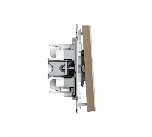 ArtGallery Шампань Выключатель 2-клавишный ДЛЯ ЖАЛЮЗИ, 2х сх.4, 10А, механизм, быстрозажим. клем.  GAL000519S  SE